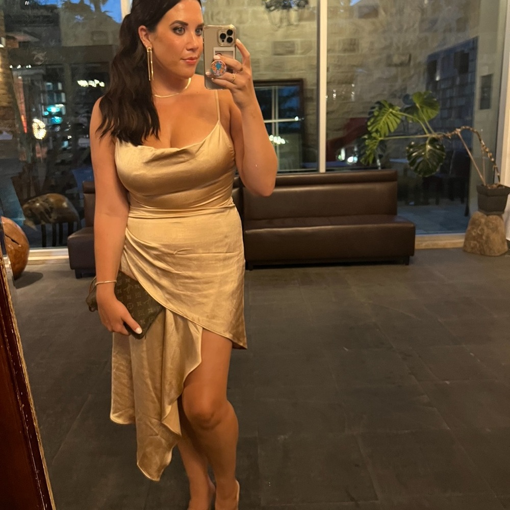 Revolve dress